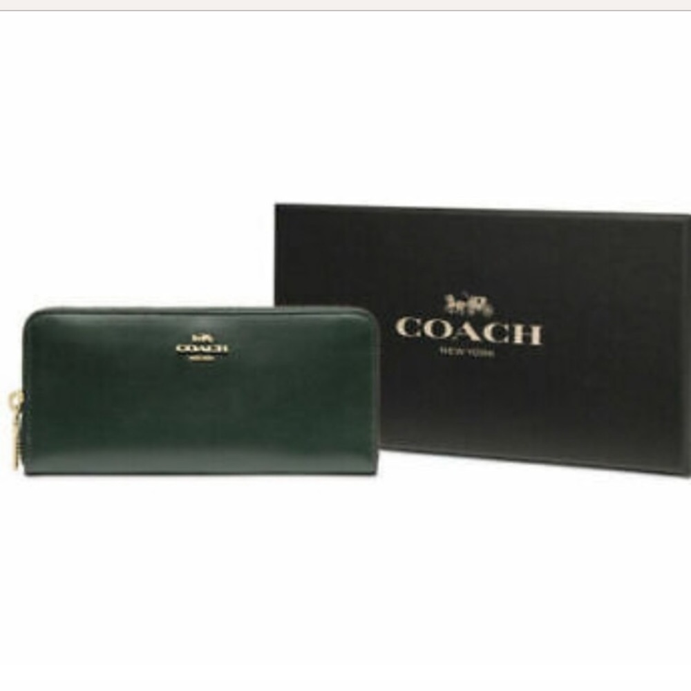 NWT❗️COACH Amazon Green Accordion Zip Long Wallet